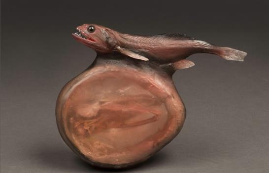 Los superanimales desembarcan en el museo de Historia Natural de Nueva York Los superanimales desembarcan en el museo de Historia Natural de Nueva York