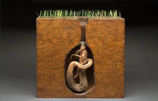 Los superanimales desembarcan en el museo de Historia Natural de Nueva York Los superanimales desembarcan en el museo de Historia Natural de Nueva York