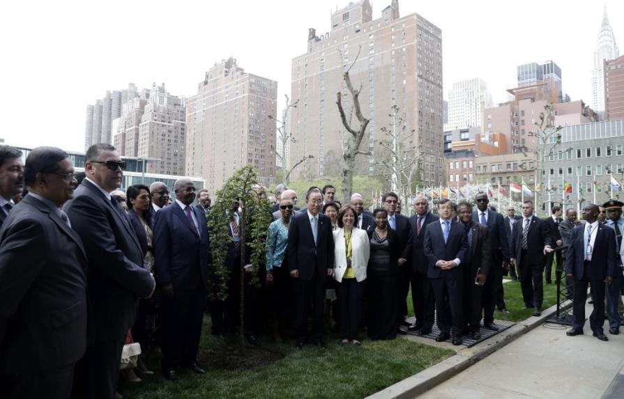 ONU recuerda fin de la II Guerra Mundial con un árbol que simboliza la paz