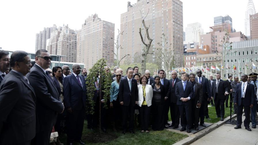 ONU recuerda fin de la II Guerra Mundial con un árbol que simboliza la paz