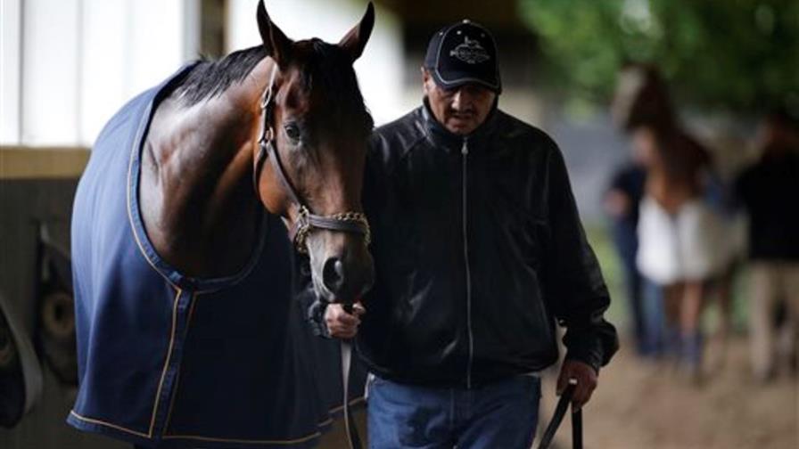 American Pharoah prueba la pista de Belmont Park por última vez