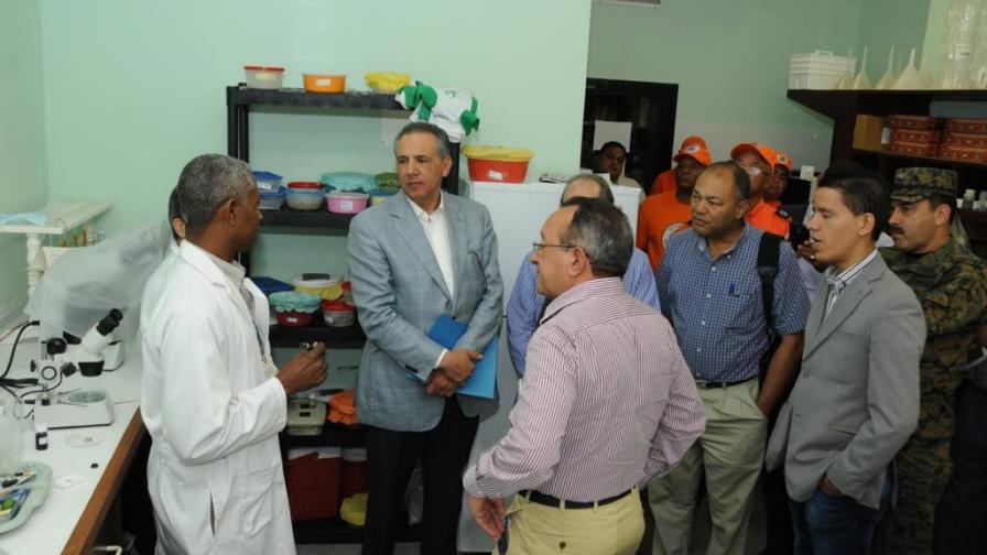 Evalúan los protocolos de control sobre la mosca del Mediterráneo