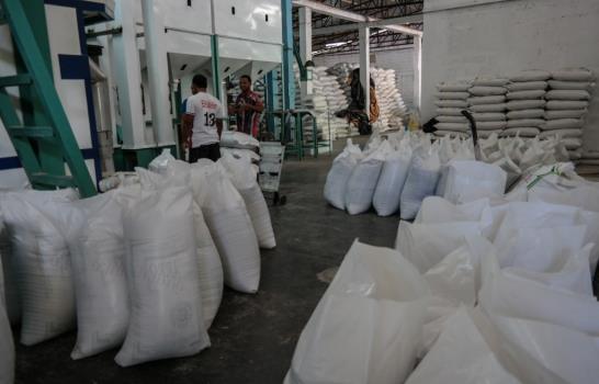 Las culebras que ahuyentan las ratas de Cotuí