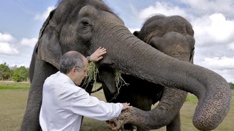 El circo Ringling Bros. eliminará actos con elefantes