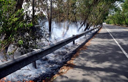 Incendio forestal afecta a Loma Miranda