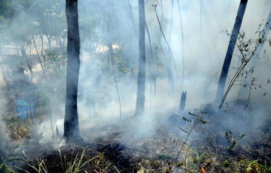 Incendio forestal afecta a Loma Miranda