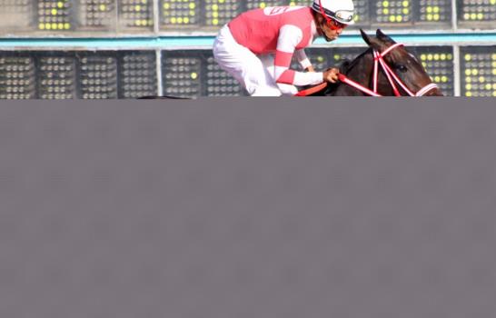 Fratello Martino hizo un punta a punta en la primera pata de la Triple Corona