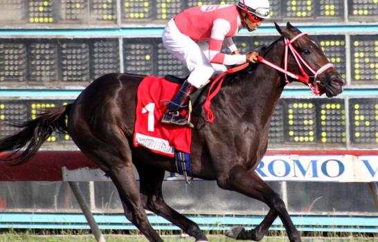 Fratello Martino hizo un punta a punta en la primera pata de la Triple Corona