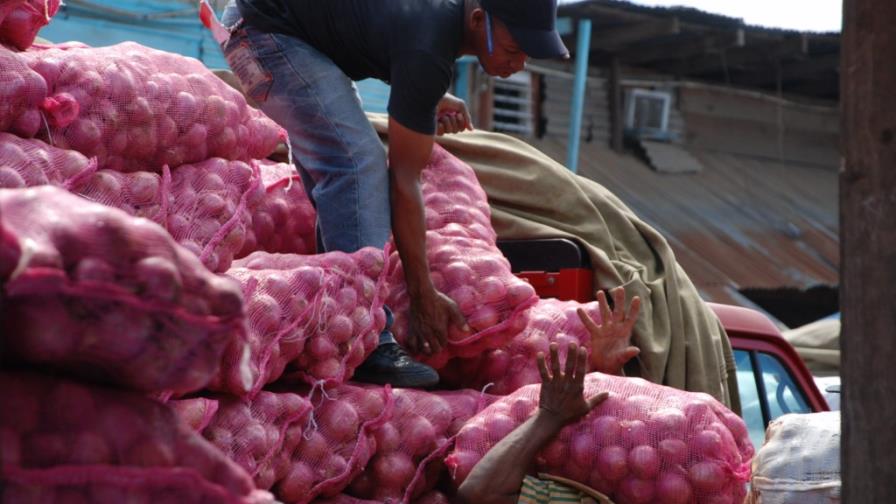 JAD: El Estado recibe RD$500 millones por permisos agropecuarios JAD: El Estado recibe RD$500 millones por permisos agropecuarios