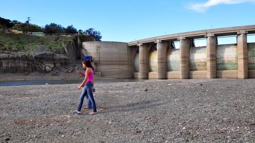 La reforestación, una misión impostergable La reforestación, una misión impostergable