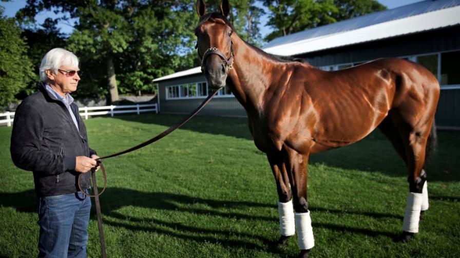 El propietario de American Pharoah afirma que seguirá corriendo