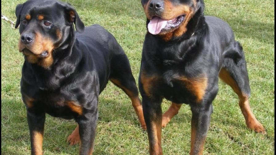 Una tos que no se quita