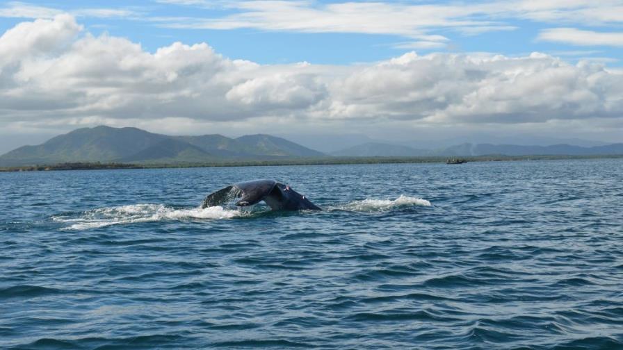 La ONU ve papel clave de océanos en planes contra cambio climático y pobreza