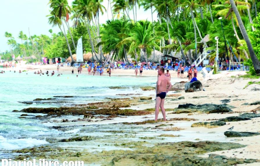 Preocupa a hoteleros el aumento de algas en playas del país