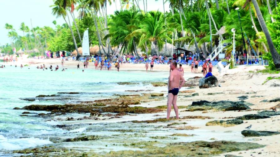 Preocupa a hoteleros el aumento de algas en playas del país