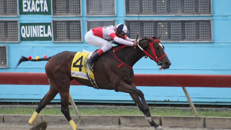 Abuelo Tito ganó la 5ta carrera en tarde de favoritos en el hipódromo V Centenario Abuelo Tito ganó la 5ta carrera en tarde de favoritos en el hipódromo V Centenario