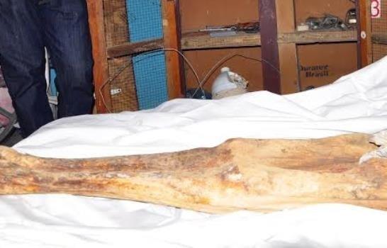 Hallan cadáver momificado en casa en Arizona