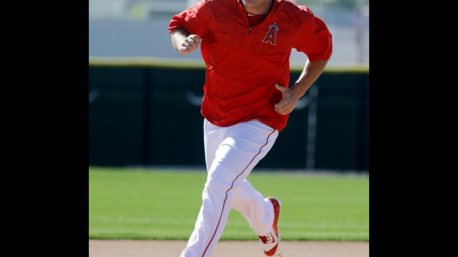 Un enjambre de abejas visitó los campos de entrenamientos y persigue a peloteros