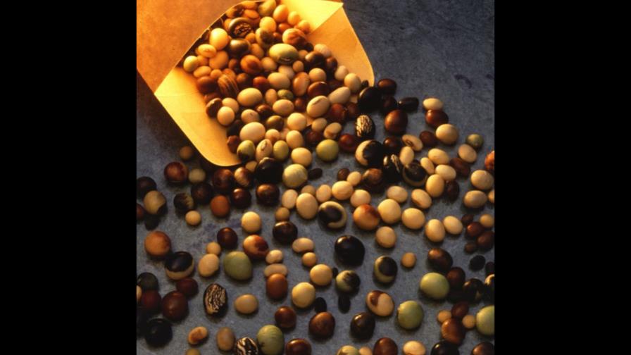 Burbuja de inventario de soja argentina a punto de explotar