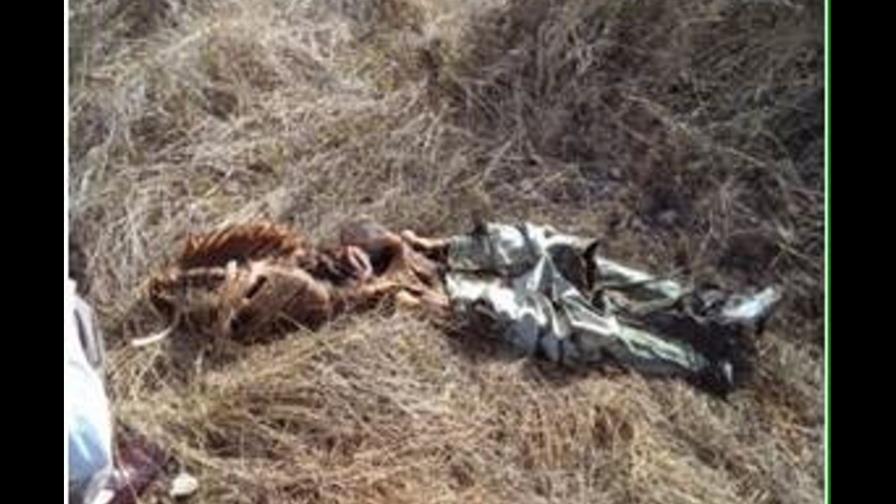 Encuentran osamenta en finca cercana a la autovía El Coral