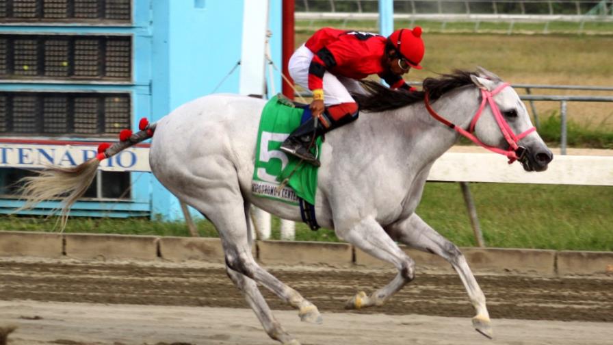 Sexy Luisa confirma condición de favorita