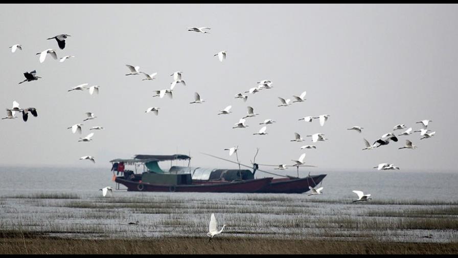 El mayor lago de China triplica su tamaño por las lluvias y dispara la alerta El mayor lago de China triplica su tamaño por las lluvias y dispara la alerta