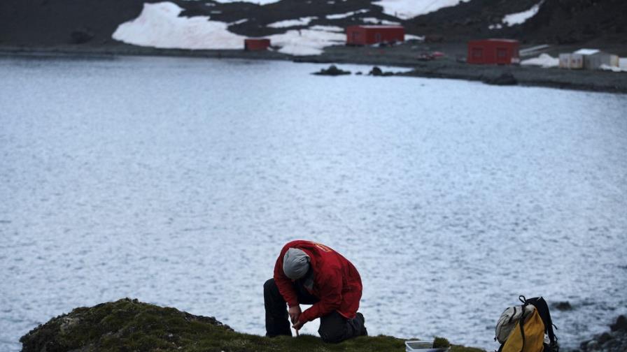Microorganismos antárticos para una industria más limpia y sustentable