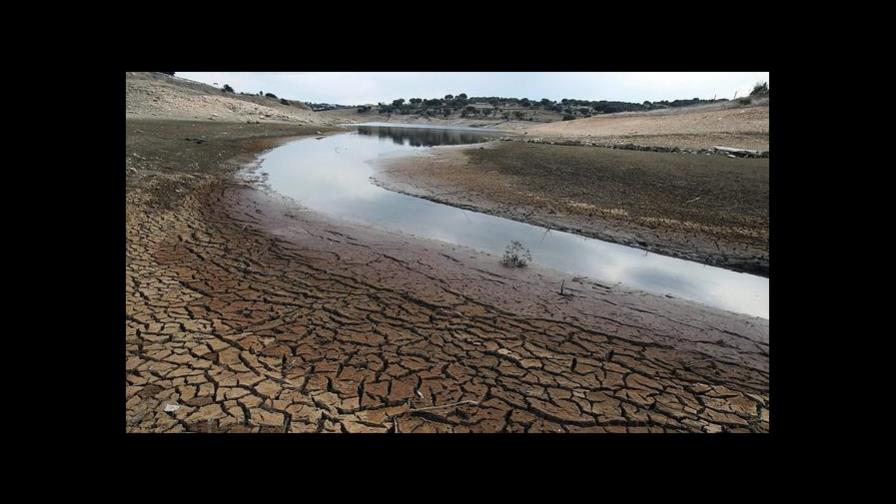 Los suelos desnudos no dan bien de comer