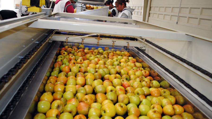 Vinculan muertes por listeria a empacadora de manzanas