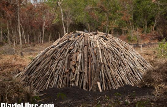 Hornos de carbón también en El Higüero, en el GSD