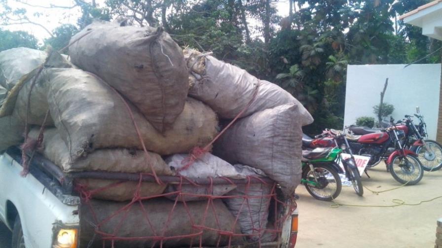 Medio Ambiente se incauta de 15 sacos de carbón