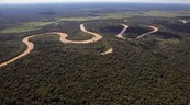 La tala continuada y el calentamiento global podr&iacute;an convertir la Amazon&iacute;a en una sabana