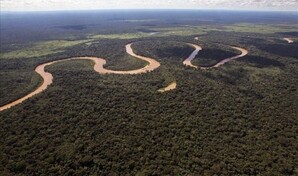 La tala continuada y el calentamiento global podr&iacute;an convertir la Amazon&iacute;a en una sabana