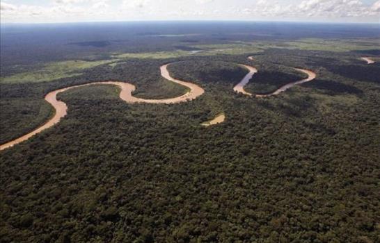 La tala continuada y el calentamiento global podr&iacute;an convertir la Amazon&iacute;a en una sabana
