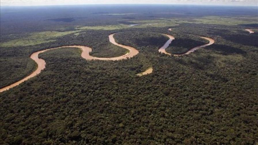 Brasil crea grupo policial especial para combatir tala ilegal en la Amazonía Brasil crea grupo policial especial para combatir tala ilegal en la Amazonía