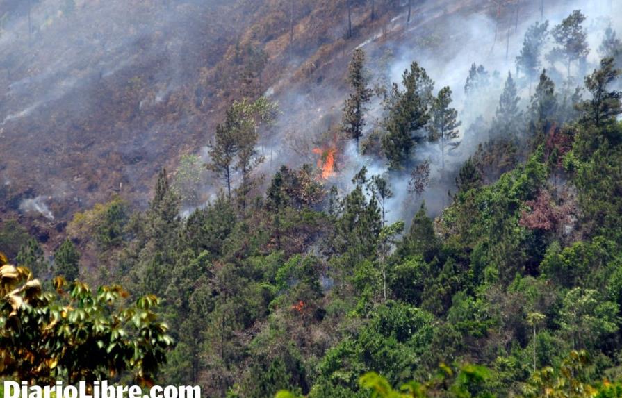 Catorce medidas coerción y 19 órdenes de arresto por fuegos forestales intencionales