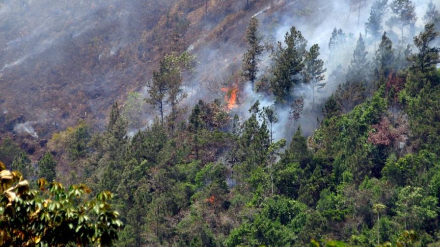 Catorce medidas coerción y 19 órdenes de arresto por fuegos forestales intencionales