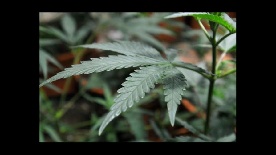 EEUU decomisa cocaína y marihuana en la zona de Panamá y Colombia