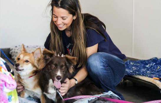 Los perros rehúyen a las personas desagradables con sus dueños