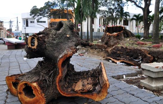 Denuncian tala de árboles centenarios en el parque Duarte de Santiago