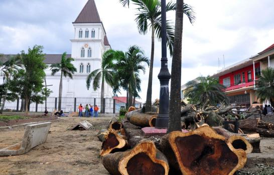 Denuncian tala de árboles centenarios en el parque Duarte de Santiago