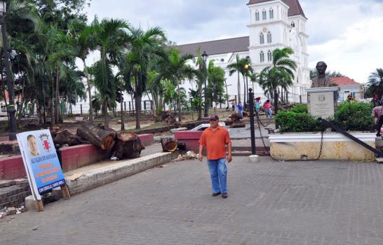 Denuncian tala de árboles centenarios en el parque Duarte de Santiago