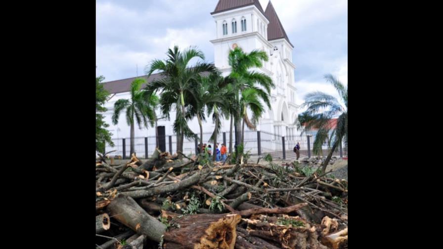 SOECI denuncia tala de árboles parque de Santiago