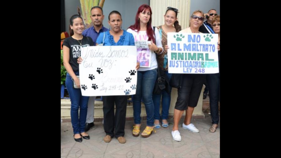 Acusado de agresión contra perrita llega a acuerdo con fundación