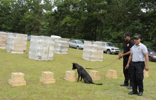 Los perros que detectaron 869 kilos de drogas