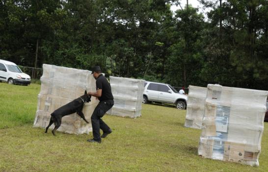 Los perros que detectaron 869 kilos de drogas