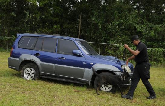 Los perros que detectaron 869 kilos de drogas
