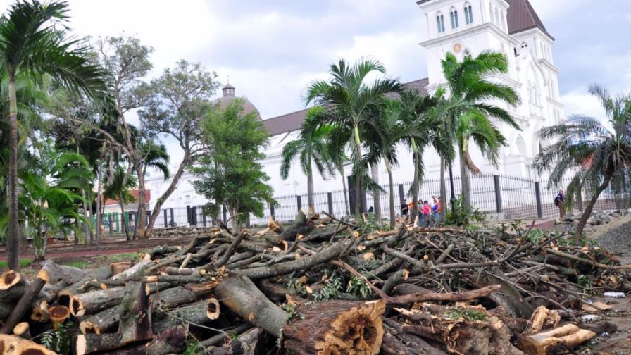 Detienen tala de árboles parque Duarte, de Santiago