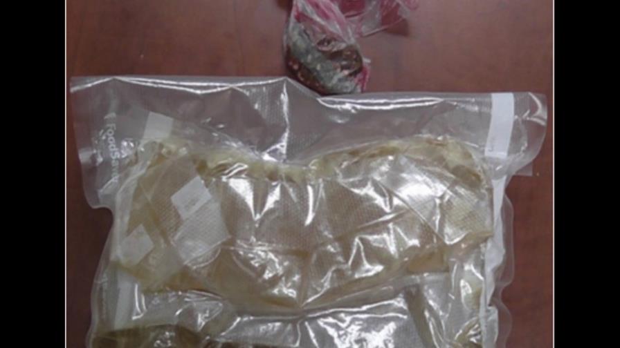 Desmantelan grupo preparaba “mulas” para llevar coca a Europa