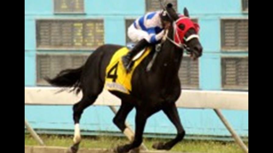 Mister Lightning pasea distancia en el V Centenario